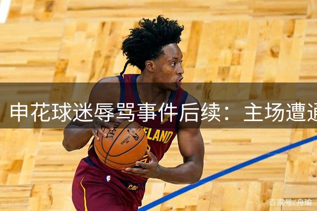 申花球迷辱骂事件后续：主场遭通报批评